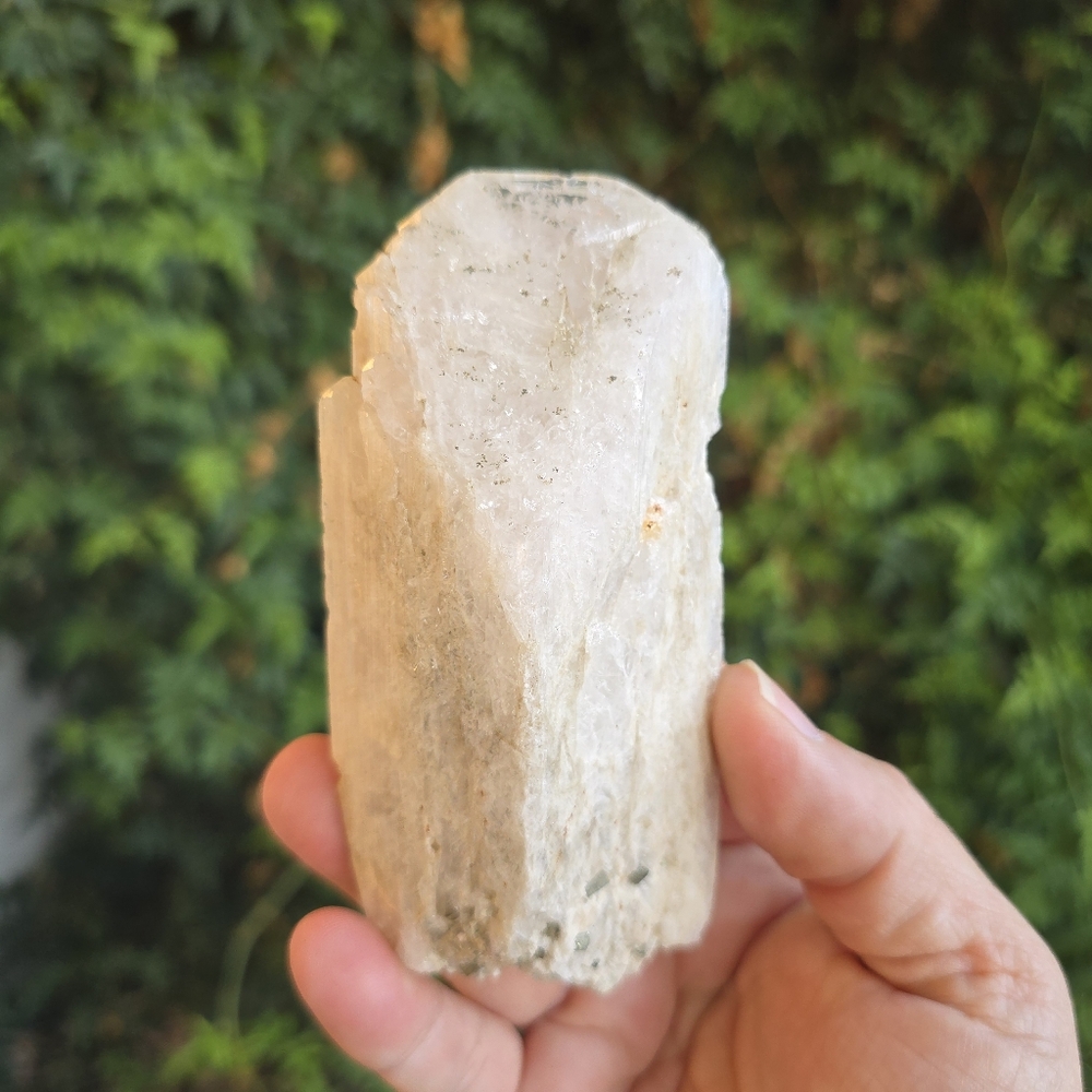 Danburite W Pyrite From Mexico